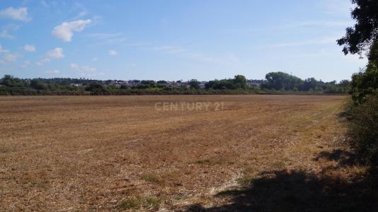 Santiago Do Cacém, Setubal 7500-018, Portogallo