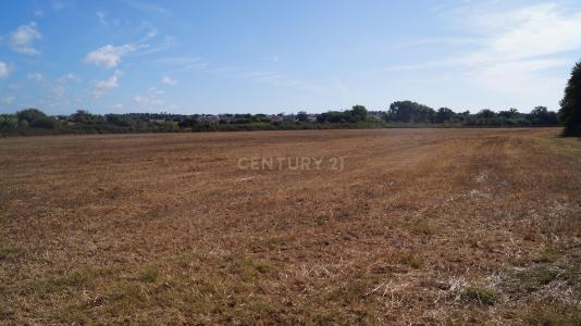 Santiago Do Cacém, Setubal 7500-018, Portogallo