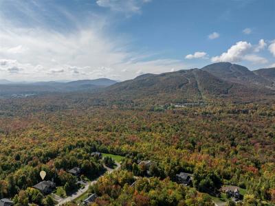 61 Rue de la Tramontane, Orford, 魁北克省 J1X 0H6, 加拿大