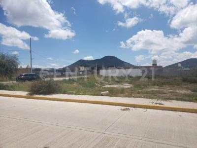 Lt 1 Mz 31 Zona 1,, Zaragoza, San Luis Potosi 79546, Messico