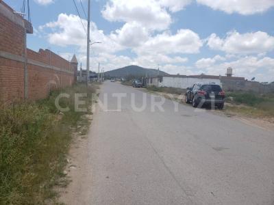 Lt 1 Mz 31 Zona 1,, Zaragoza, San Luis Potosi 79546, Messico