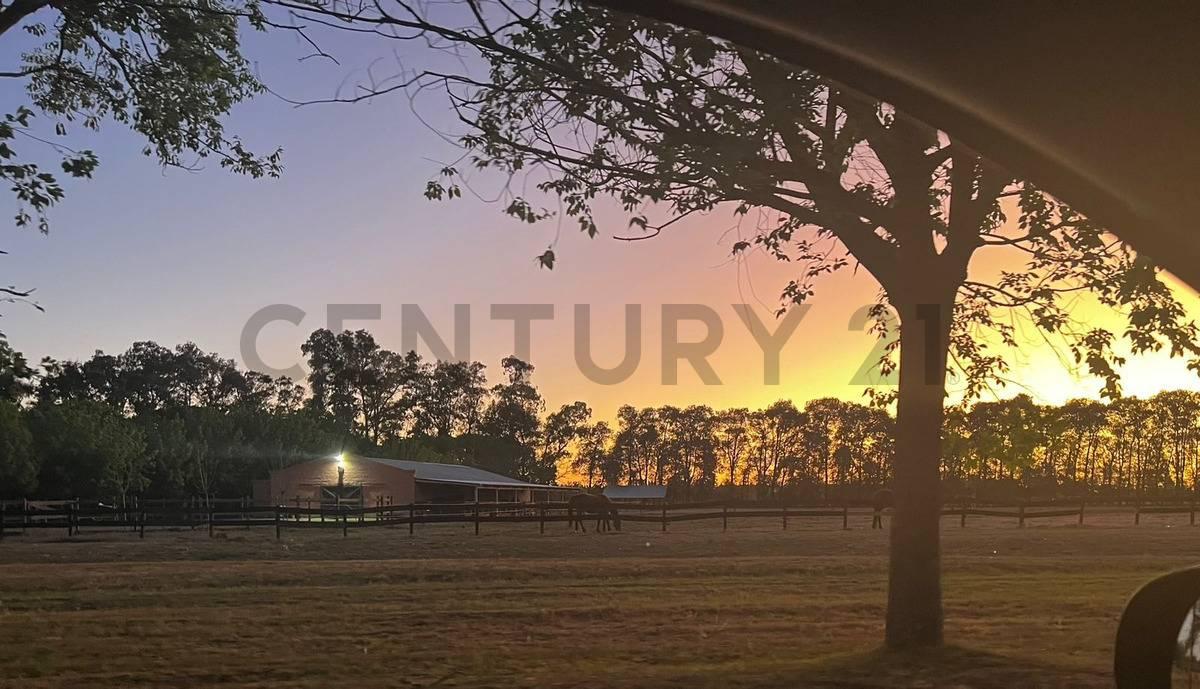 Haras San Pablo 1 , General Rodríguez, GBA Oeste 00001, Argentina
