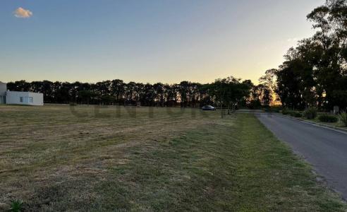 Haras San Pablo 1 , General Rodríguez, GBA Oeste 00001, Argentina