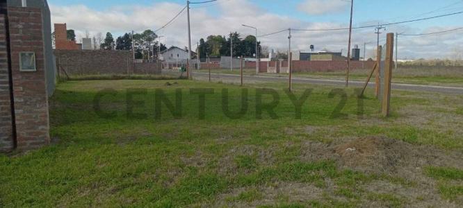 El Almendro 2793, Alvear, Santa Fe 2126, ארגנטינה