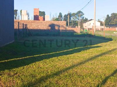 El Almendro 2793, Alvear, Santa Fe 2126, ארגנטינה