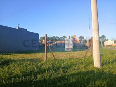 El Almendro 2793, Alvear, Santa Fe 2126, ארגנטינה