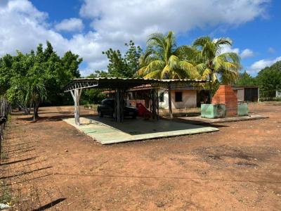 Sur América, Zulia 4001, 委內瑞拉