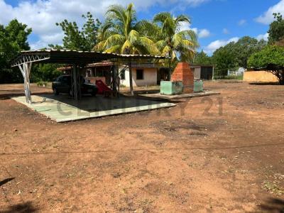 Sur América, Zulia 4001, 委內瑞拉