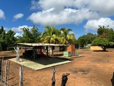 Sur América, Zulia 4001, 委內瑞拉