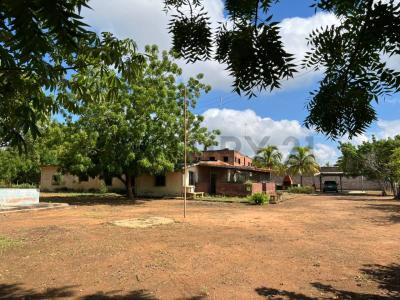 Sur América, Zulia 4001, 委內瑞拉