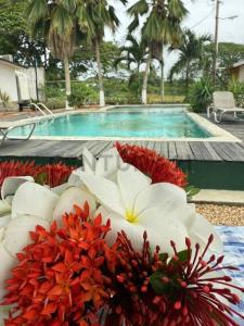 Tucacas, Falcón 2055, Venezuela