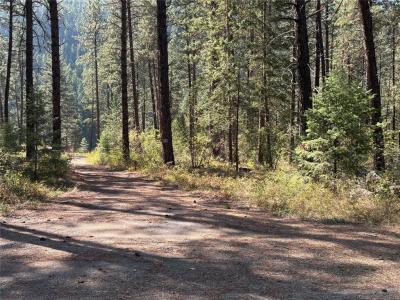 Lot 35 Donlan Flats Road, Saint Regis, Montana 59866, Estados Unidos