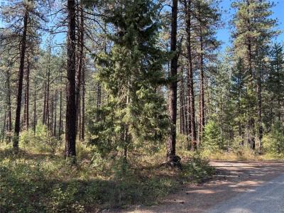 Lot 35 Donlan Flats Road, Saint Regis, Montana 59866, Estados Unidos