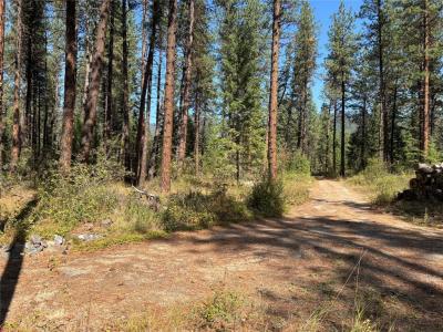 Lot 35 Donlan Flats Road, Saint Regis, Montana 59866, Estados Unidos