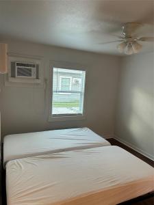 2917 Ashley , 4, Houston, Texas 77017