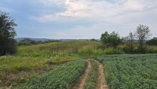 50 Upper East Valley Road, Pikeville, 田納西州 37367, 美國