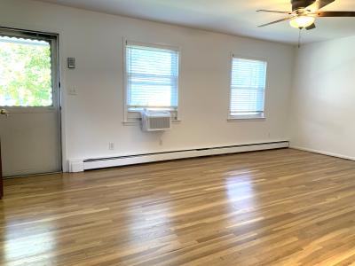 1 Childs Avenue Unit 1E, Floral Park, Nowy Jork 11001, USA