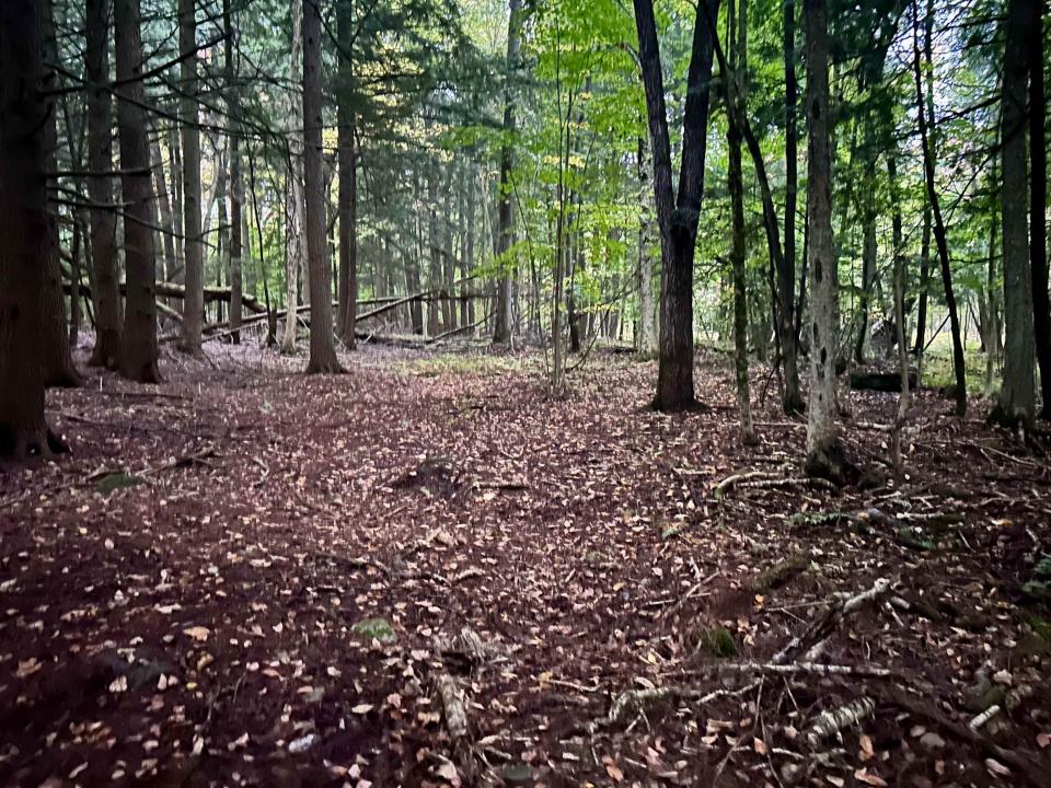 TBD Pumpkin Village Road, Fairfield, Vermont 05455