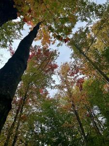 TBD Pumpkin Village Road, Fairfield, Vermont 05455