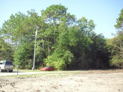 Lot 6 SW 23 Place, Ocala, Florida 34481, USA