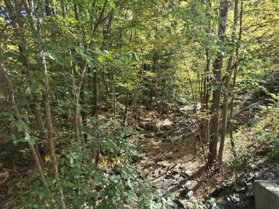 1500 Brownsville Hartland Road, West Windsor, Vermont 05089, Estados Unidos