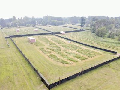 9880 Siemering Dr, Lake Tomahawk, 威斯康辛州 54487, 美国