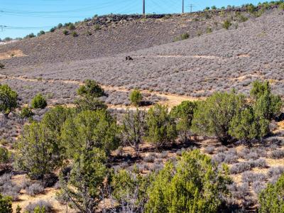 TAX ID W Topaz Rd. Parcel:7233-E-1-DA, St George, Utah 84770, Amerika Birleşik Devletleri