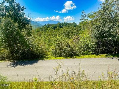 Lot 78 Vixen Run, Gatlinburg, Tennessee 37738, États-Unis