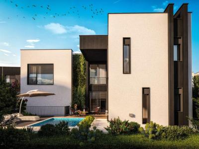 Mjull - Bathore, Tirana, Albânia