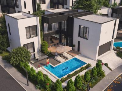 Mjull - Bathore, Tirana, Albânia