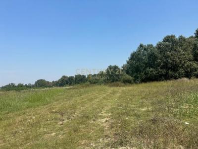 Vorë, Vorë, ألبانيا 