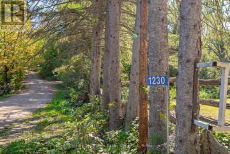 1230 FORSTERS ROAD, Minden Hills (lutterworth), Ontario K0M 2K0, Kanada