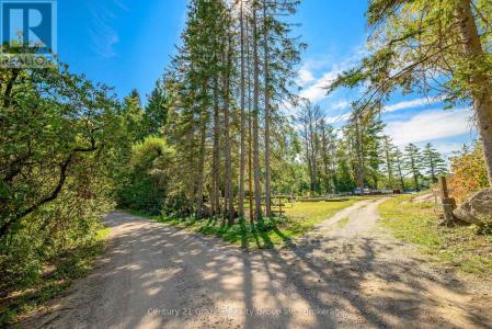 1230 FORSTERS ROAD, Minden Hills (lutterworth), Ontario K0M 2K0, Kanada