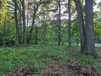 1379 CHAMPLAIN ROAD, Tiny, Ontario L9M 0C1, Canadá