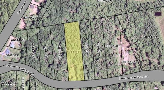 41 FREEMAN COLLICUTT ROAD, Canaan, Nova Scotia B0J 1J0, Canada