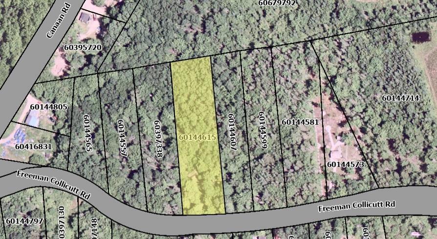 41 FREEMAN COLLICUTT ROAD, Canaan, Nuova Scozia B0J 1J0, Canada