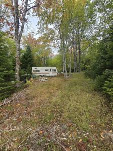 41 FREEMAN COLLICUTT ROAD, Canaan, Nuova Scozia B0J 1J0, Canada