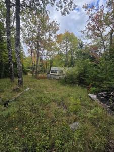 41 FREEMAN COLLICUTT ROAD, Canaan, Nuova Scozia B0J 1J0, Canada