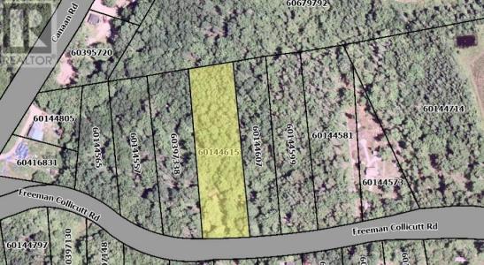 41 FREEMAN COLLICUTT ROAD, Canaan, Nova Scotia B0J 1J0, Canada