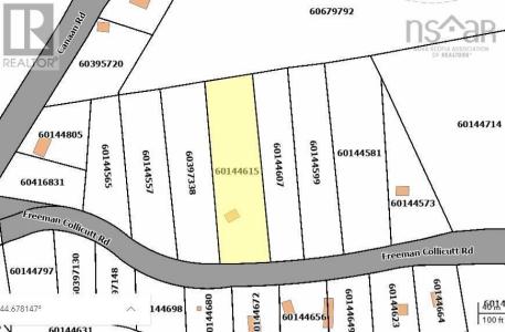 41 FREEMAN COLLICUTT ROAD, Canaan, Nova Scotia B0J 1J0, Canada