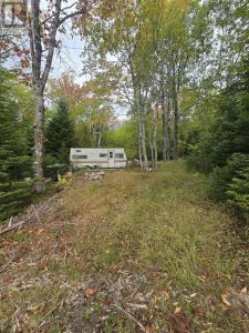 41 FREEMAN COLLICUTT ROAD, Canaan, Nova Scotia B0J 1J0, Canada