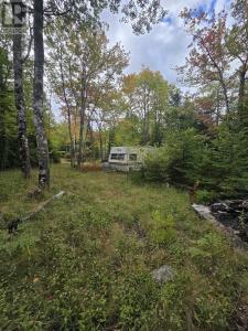 41 FREEMAN COLLICUTT ROAD, Canaan, Nova Scotia B0J 1J0, Canada