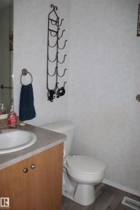 #2 464032 RGE RD. 244, Rural Wetaskiwin County, 阿尔伯塔 T9A 1W8, 加拿大