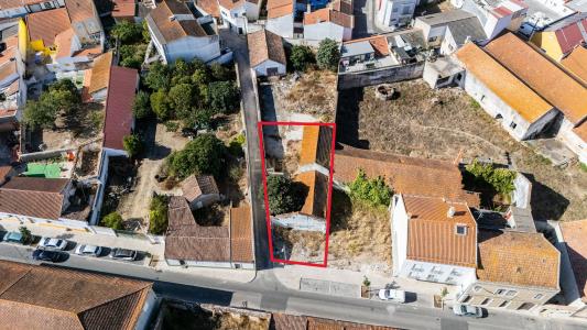 Cartaxo, Santarem 2070-059, Portogallo