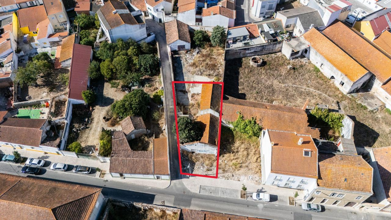 Cartaxo, 圣塔伦 2070-059, 葡萄牙