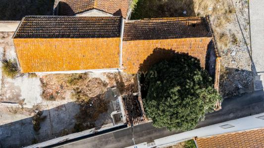 Cartaxo, 圣塔伦 2070-059, 葡萄牙