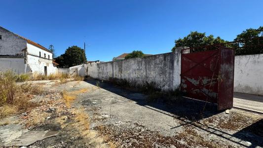 Cartaxo, Santarem 2070-059, Portugal