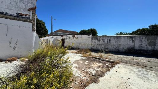 Cartaxo, Santarem 2070-059, Portugal