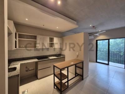 Calle Inga entre Amba'y y Alamo , Trinidad, Asunción 00001, Le Paraguay