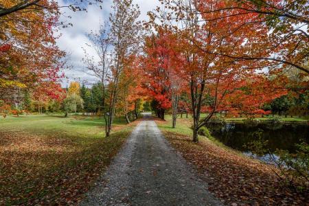 39  Ch. Dulude, Orford, Quebec J1X 6P4, Kanada
